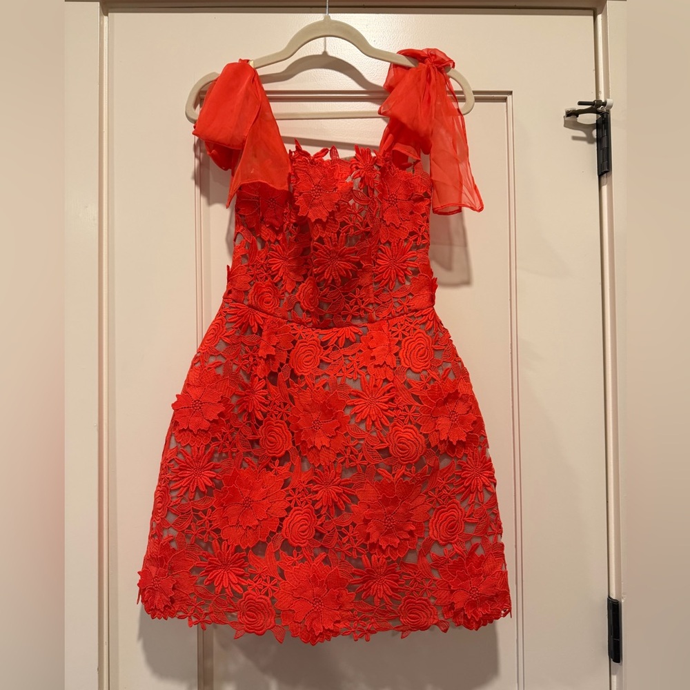 Bronx and Banco Dress